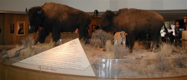 Buffalo Bill Historical Center